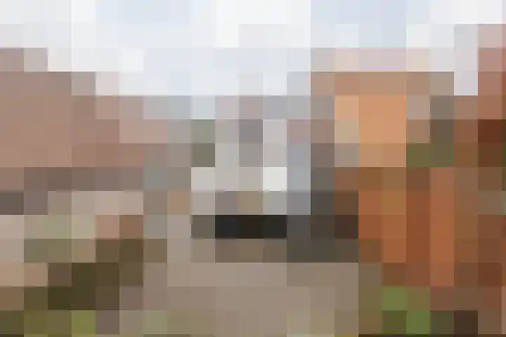 Dorpstraat 25 Elsloo thumbnail 37