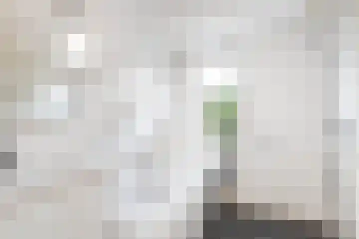 Dorpstraat 25 Elsloo thumbnail 4