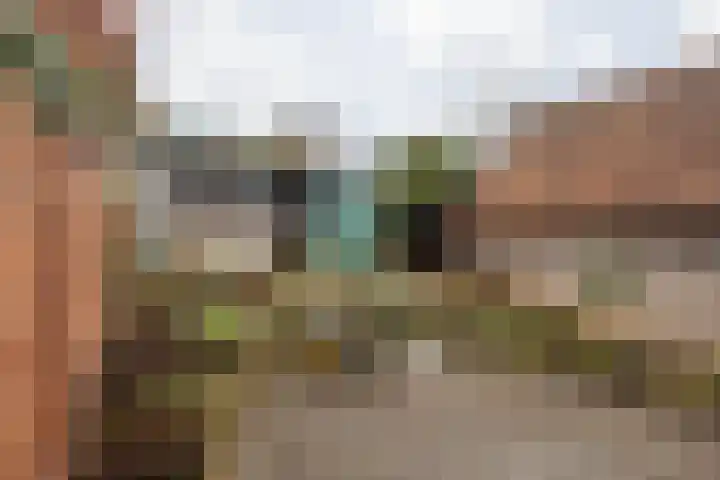 Dorpstraat 25 Elsloo thumbnail 42