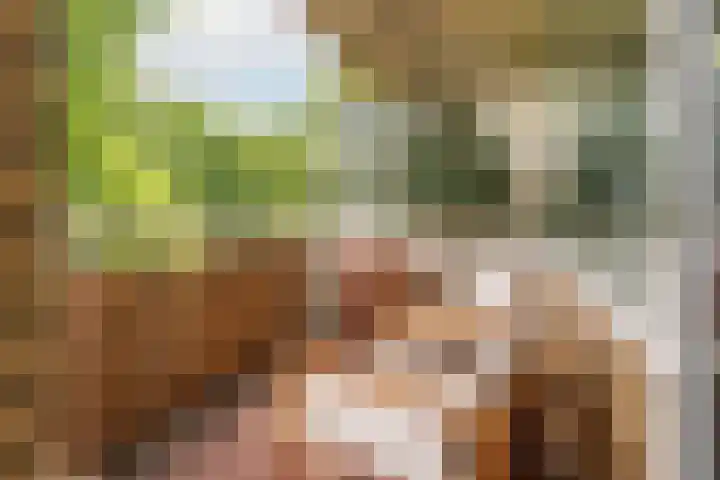 Dorpstraat 25 Elsloo thumbnail 48