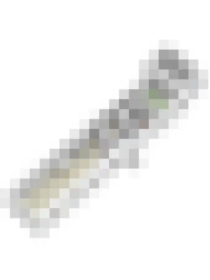 Dorpstraat 25 Elsloo thumbnail 48