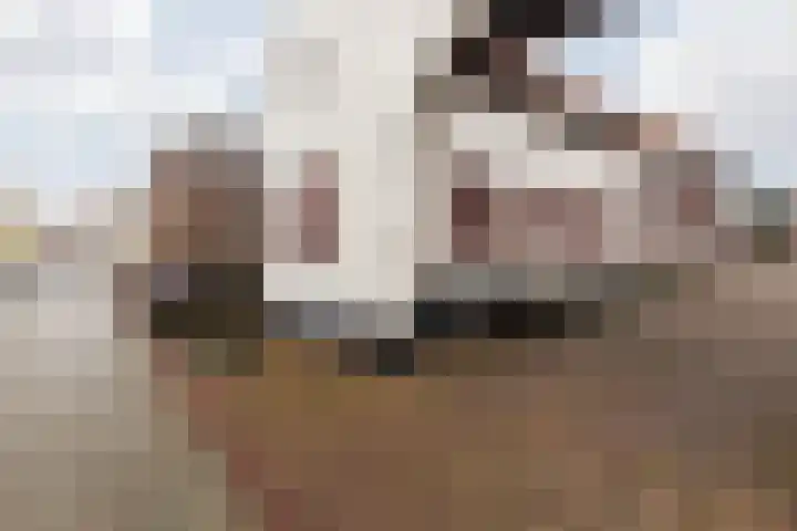 Dorpstraat 25 Elsloo thumbnail 8