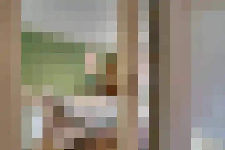 Dorpstraat 25 Waddinxveen thumbnail 23