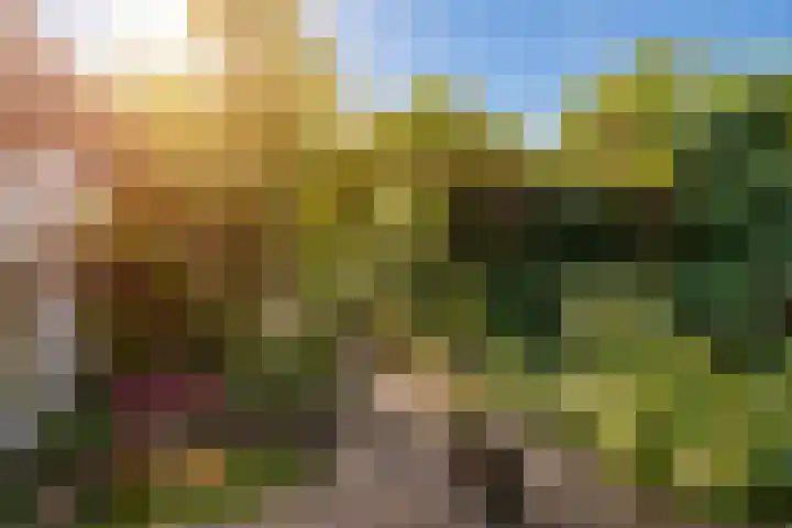 Dorpstraat 25 Waddinxveen thumbnail 35