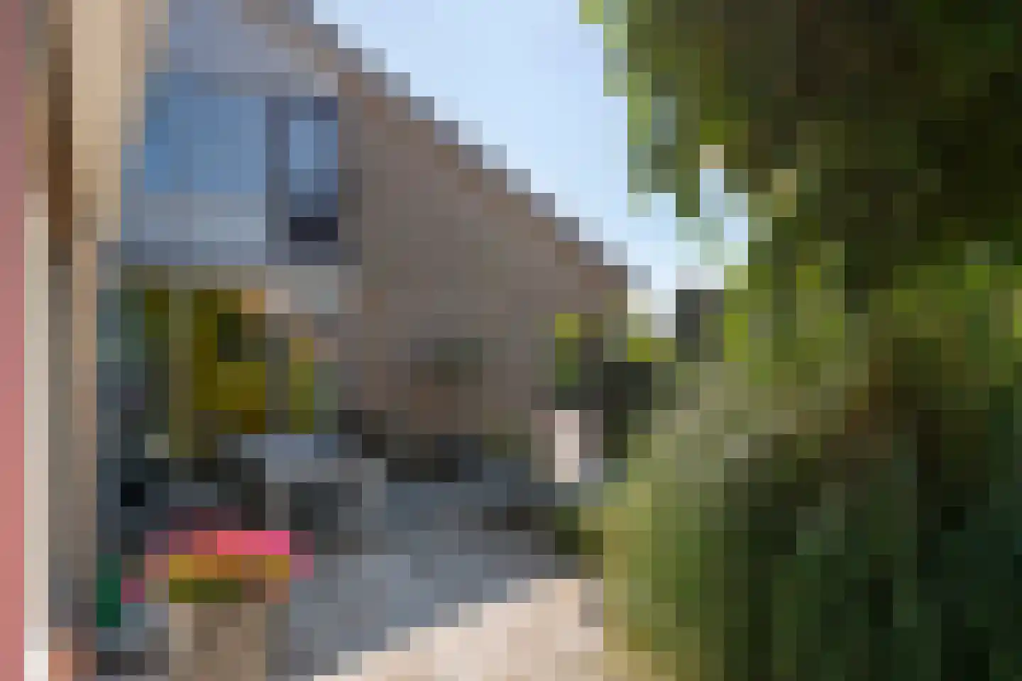 Dorpstraat 28 a Dreumel thumbnail 6
