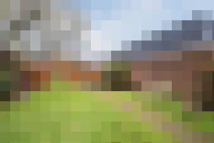 Dorpstraat 28 Leende thumbnail 38