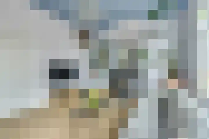 Dorpstraat 3 Lopik thumbnail 15