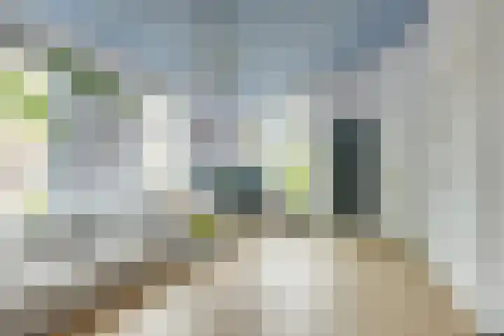 Dorpstraat 3 Lopik thumbnail 16