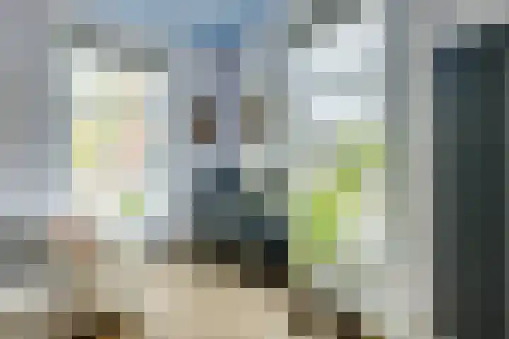 Dorpstraat 3 Lopik thumbnail 17