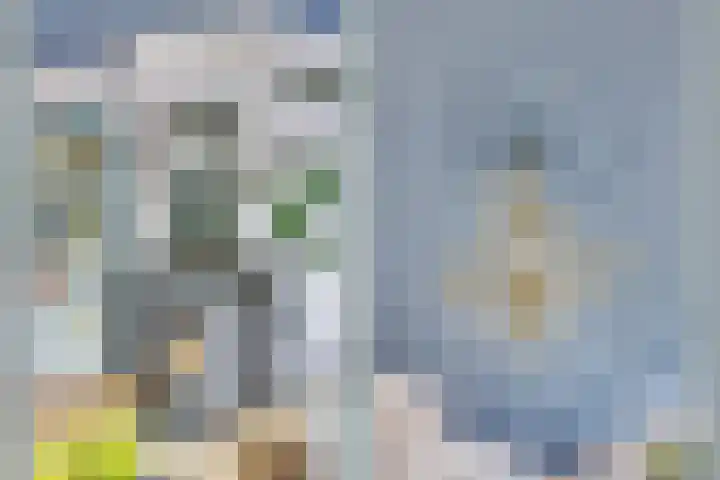 Dorpstraat 3 Lopik thumbnail 18