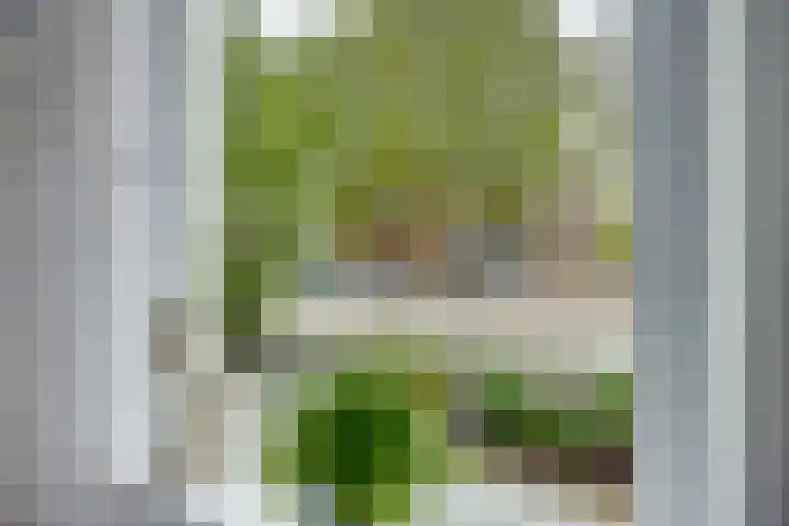 Dorpstraat 3 Lopik thumbnail 19