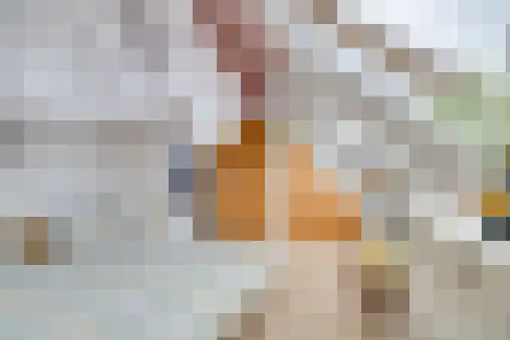 Dorpstraat 3 Lopik thumbnail 30