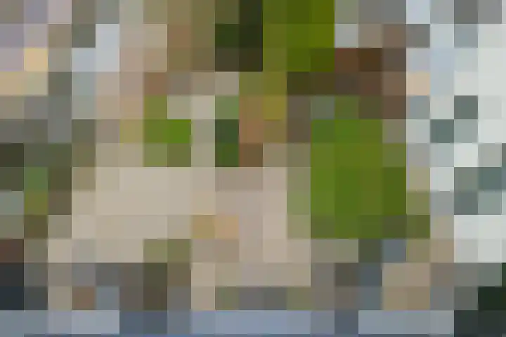 Dorpstraat 3 Lopik thumbnail 47
