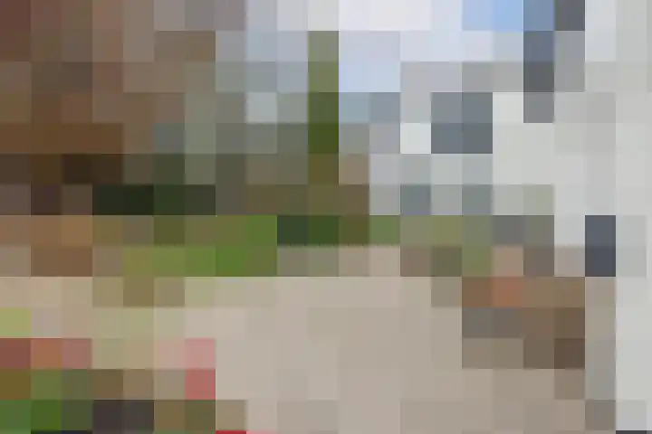Dorpstraat 3 Lopik thumbnail 49