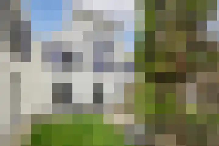 Dorpstraat 3 Lopik thumbnail 52