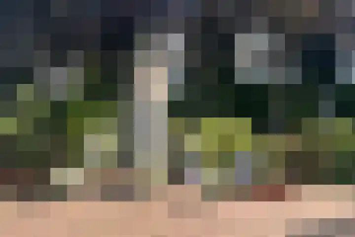 Dorpstraat 3 Lopik thumbnail 54