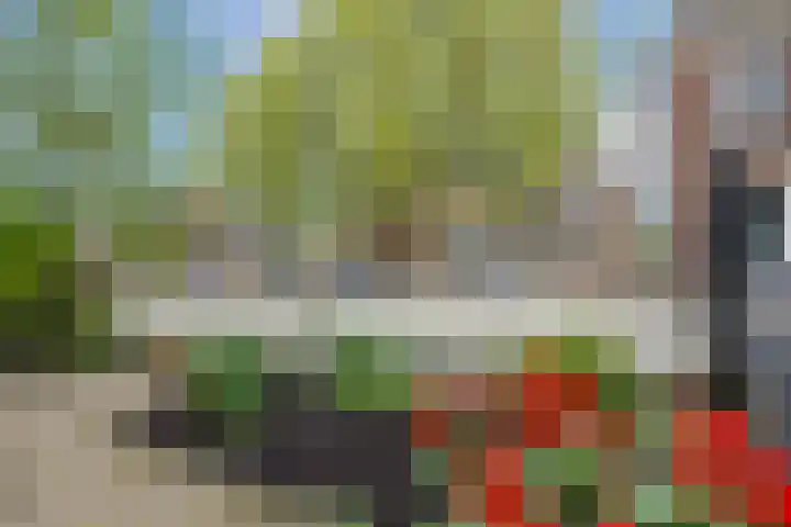 Dorpstraat 3 Lopik thumbnail 56