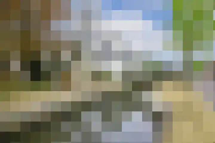 Dorpstraat 3 Lopik thumbnail 59