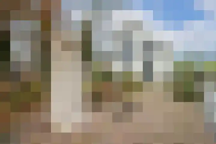 Dorpstraat 3 Lopik thumbnail 6