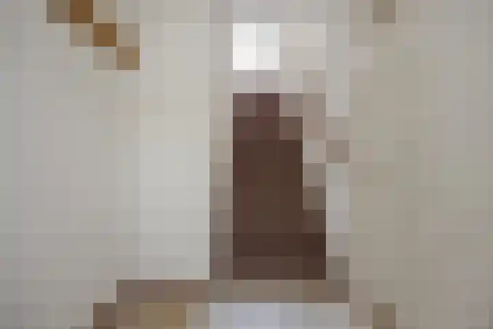 Dorpstraat 31 A Gemonde thumbnail 7