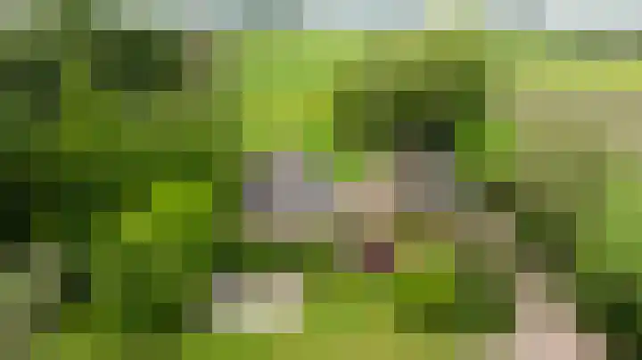 Dorpstraat 32 G Heumen thumbnail 9