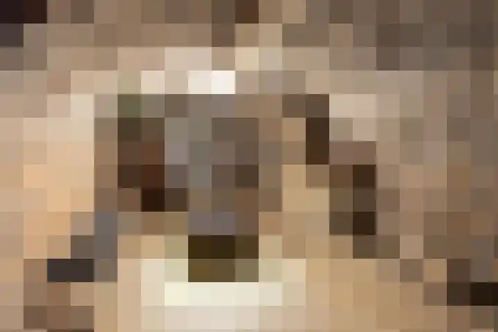 Dorpstraat 36 Jabeek thumbnail 39
