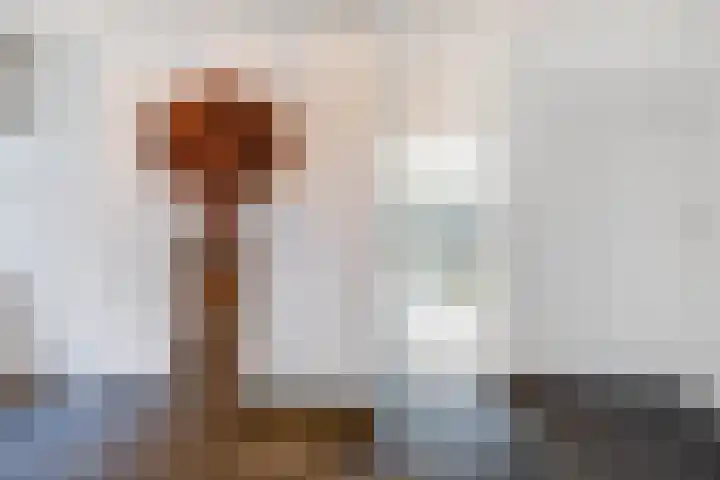 Dorpstraat 4 Elsloo thumbnail 17