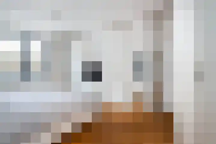 Dorpstraat 4 Elsloo thumbnail 32
