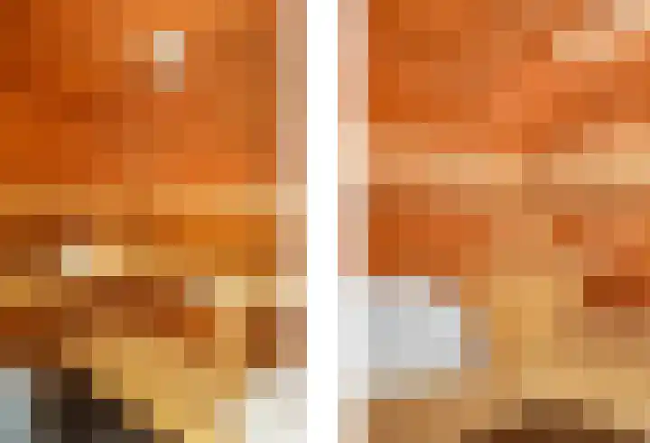 Dorpstraat 4 Elsloo thumbnail 36