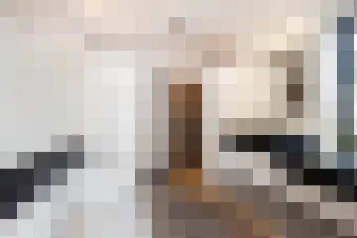Dorpstraat 4 Elsloo thumbnail 37