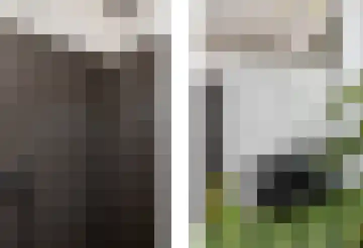 Dorpstraat 4 Elsloo thumbnail 38