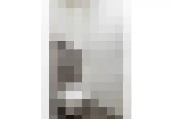 Dorpstraat 4 Elsloo thumbnail 39