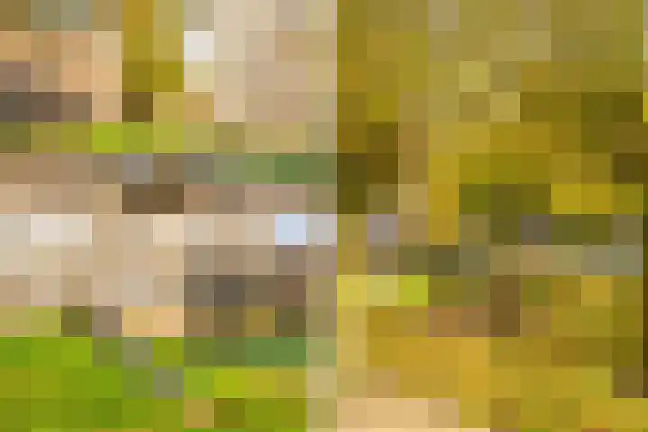 Dorpstraat 4 Elsloo thumbnail 47