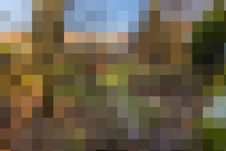 Dorpstraat 4 Elsloo thumbnail 54