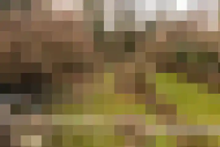 Dorpstraat 4 Elsloo thumbnail 57