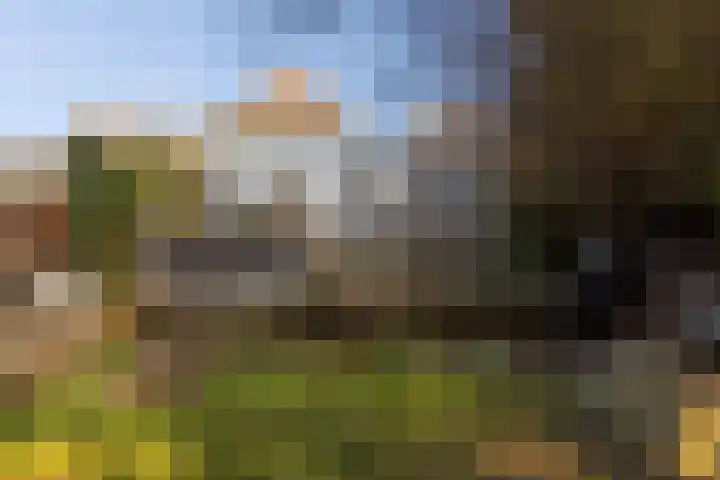 Dorpstraat 4 Elsloo thumbnail 58