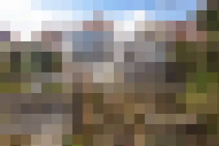 Dorpstraat 4 Elsloo thumbnail 59