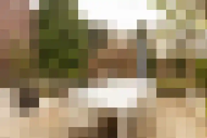 Dorpstraat 4 Elsloo thumbnail 61