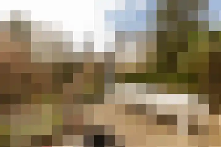 Dorpstraat 4 Elsloo thumbnail 62