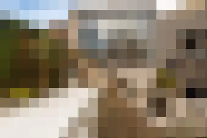 Dorpstraat 4 Elsloo thumbnail 63