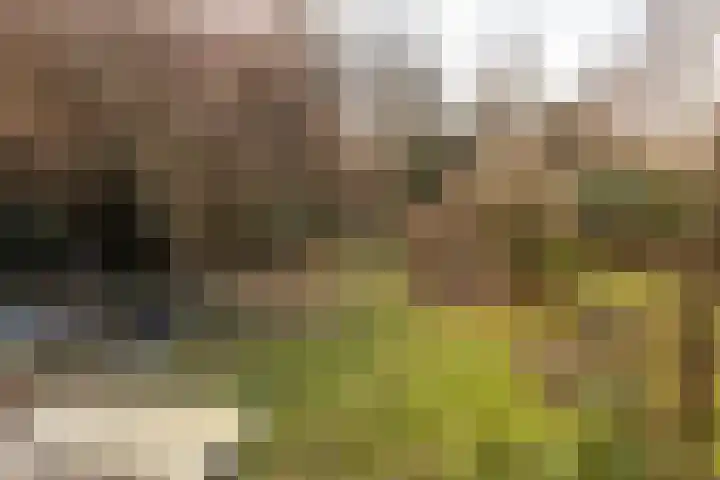 Dorpstraat 4 Elsloo thumbnail 67