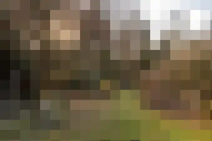 Dorpstraat 4 Elsloo thumbnail 68