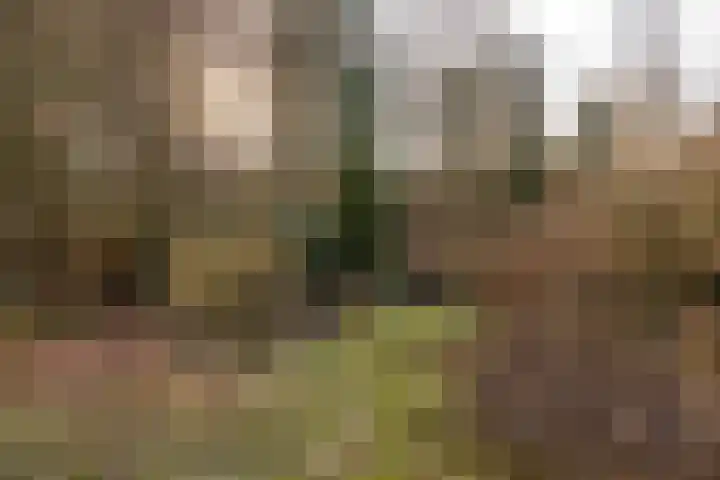 Dorpstraat 4 Elsloo thumbnail 69