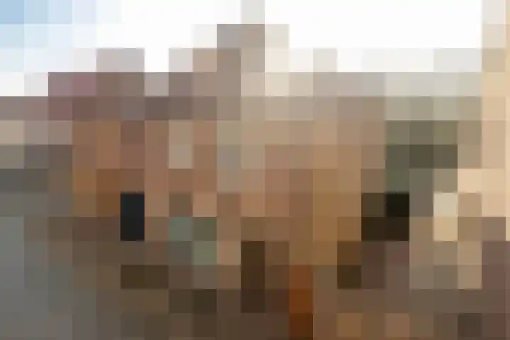 Dorpstraat 4 Elsloo thumbnail 7