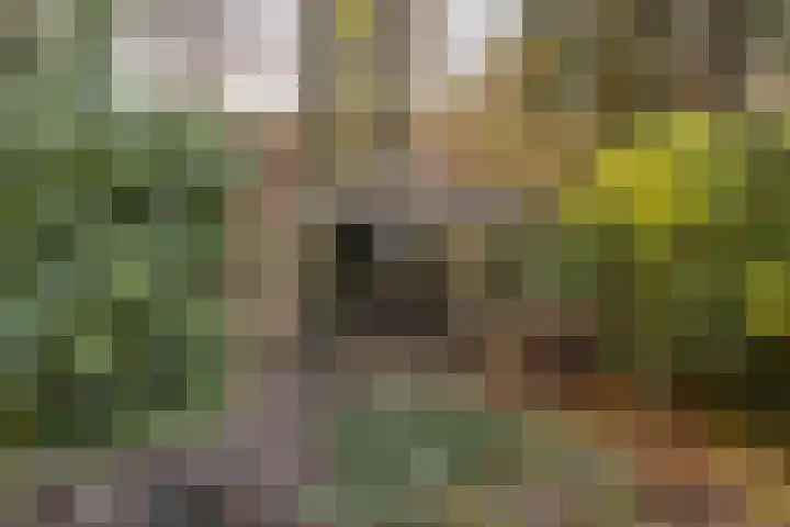 Dorpstraat 4 Elsloo thumbnail 71