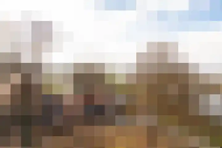 Dorpstraat 4 Elsloo thumbnail 73