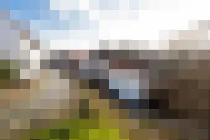 Dorpstraat 4 Elsloo thumbnail 74