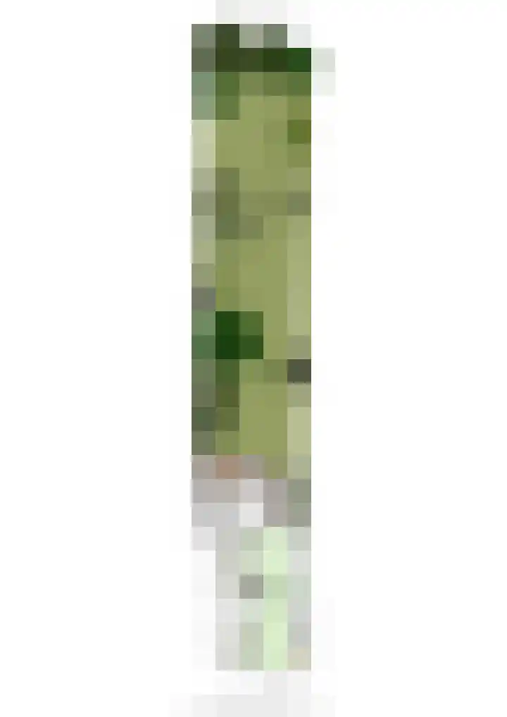 Dorpstraat 4 Elsloo thumbnail 78