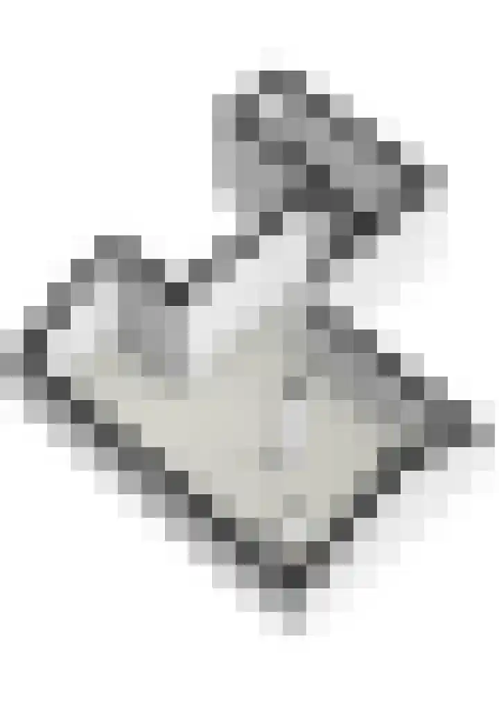 Dorpstraat 4 Elsloo thumbnail 87