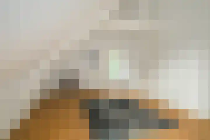 Dorpstraat 4 Ulvenhout thumbnail 34